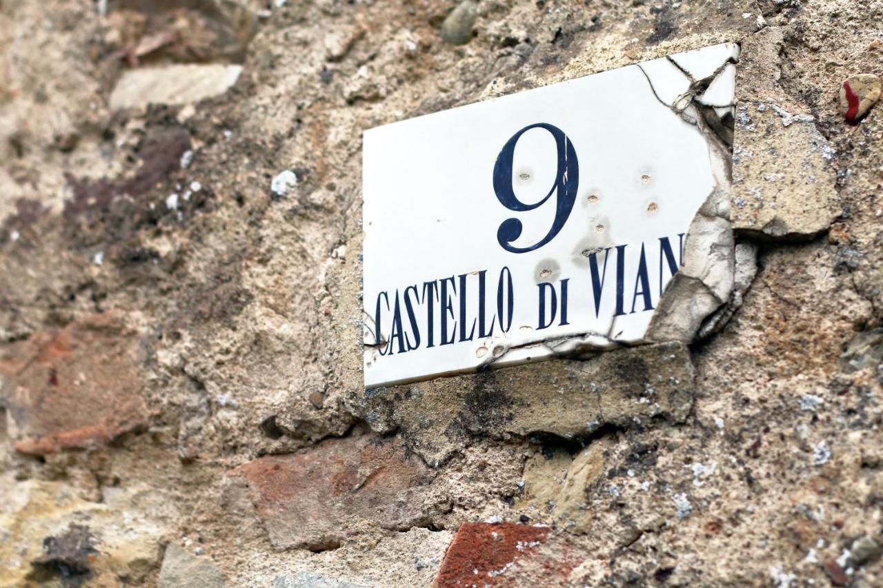 Castello Di Viano Villa Exterior foto