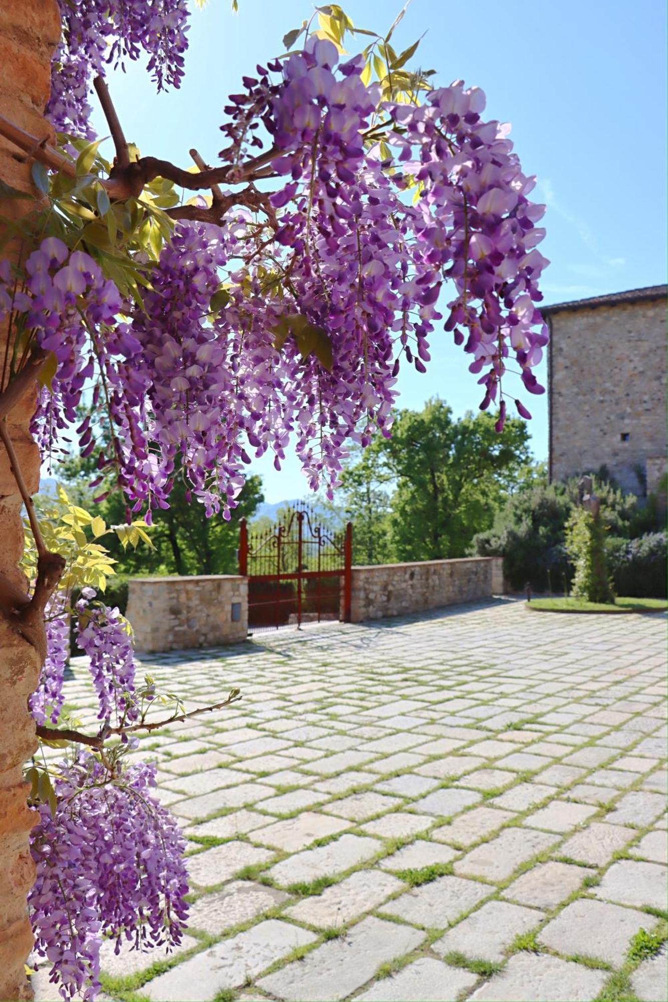 Castello Di Viano Villa Exterior foto