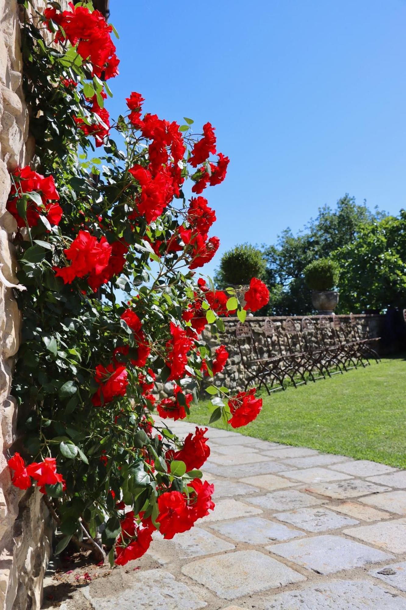 Castello Di Viano Villa Exterior foto
