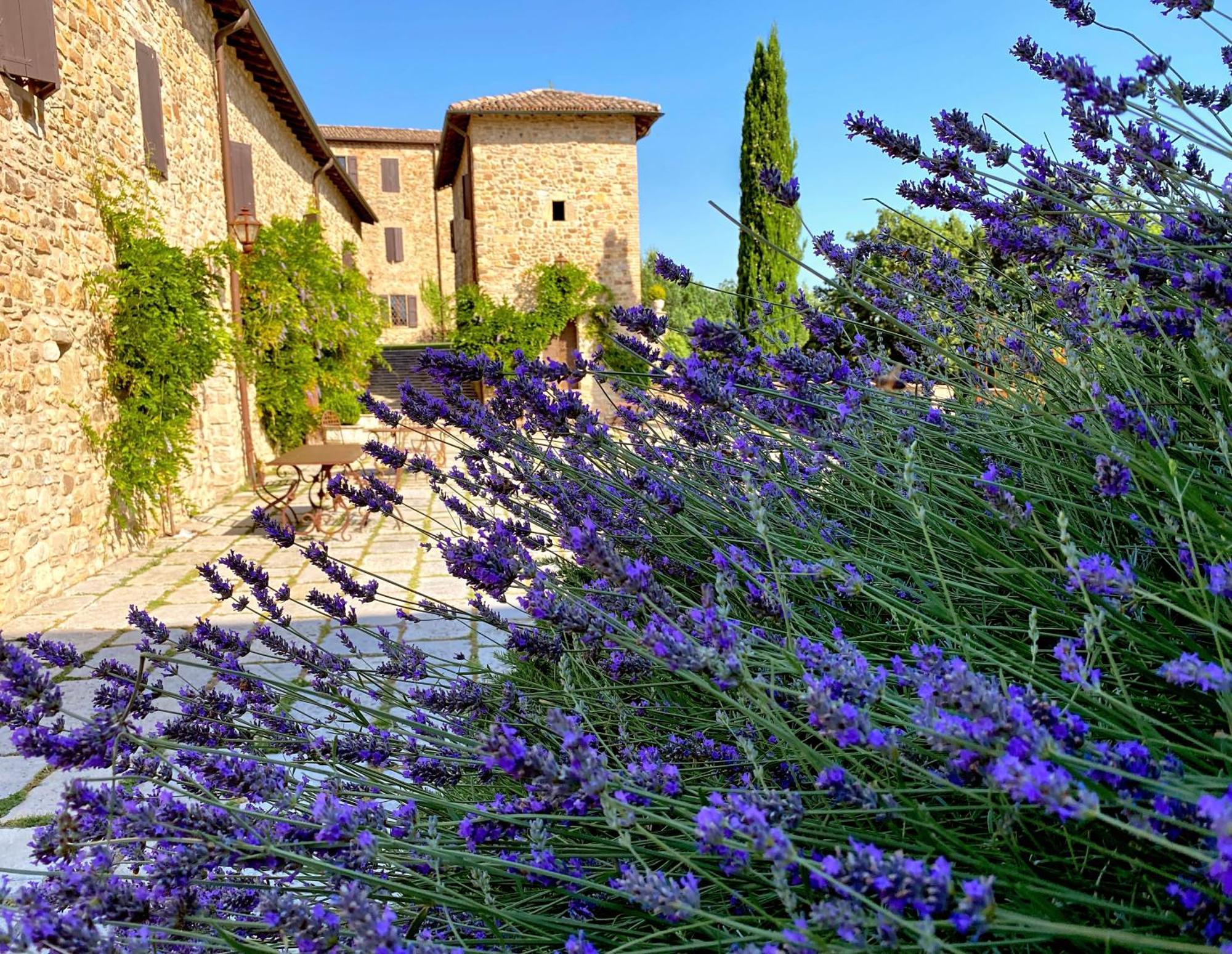 Castello Di Viano Villa Exterior foto